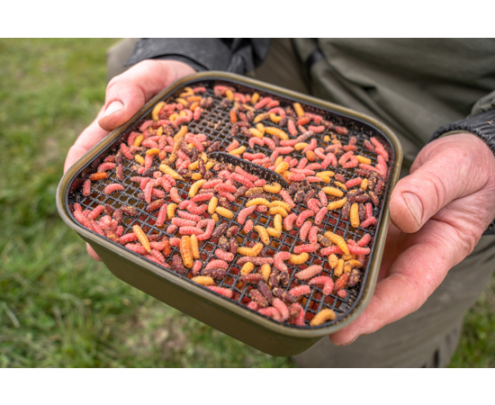 Maggot Tub And Riddle - 2Pt/1.2L | Fish For Everything