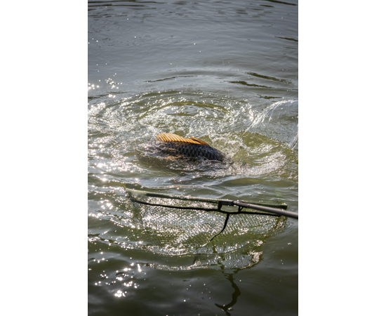 Full Metal Speci Square Latex